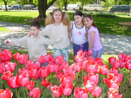 the tulips looked amazing and so did the kids 