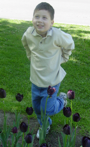 NO STOMPING on the GOTH tulips! LOL